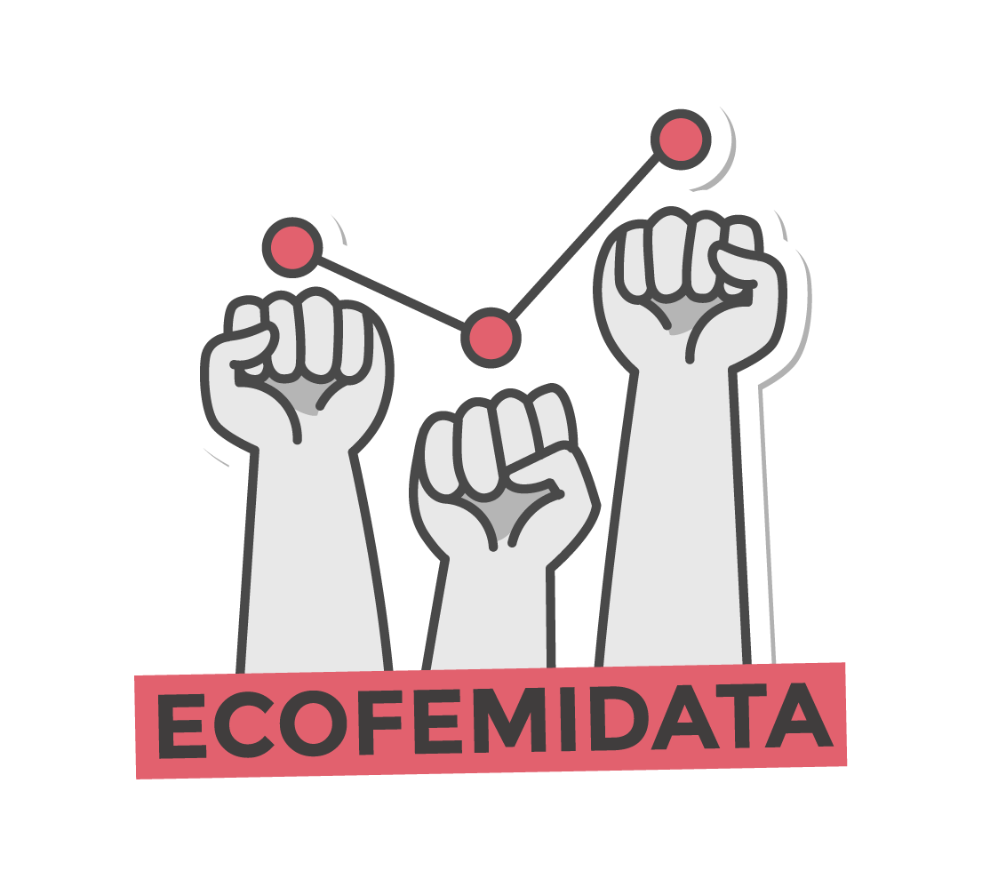 ecofemidata app